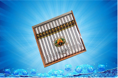 丹纳曼所罗门(25支装）