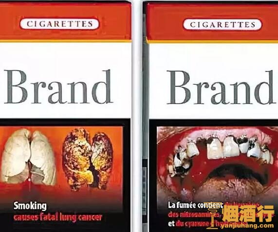 2018创意烟盒包装设计，烟草界烟盒包装奥斯卡奖熊猫烟盒