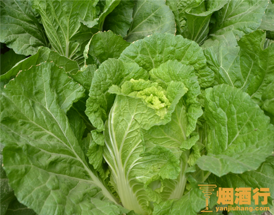 喝酒脸红是什么原因，喝酒脸红怎么办，