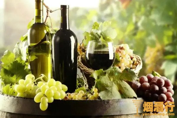 葡萄美酒夜光杯是什么意思 葡萄酒哪个品牌好喝