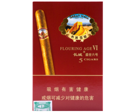 长城（盛世6号）香烟